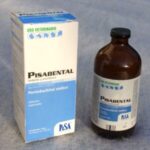 buy nembutal online - nembutal buy - nembutal price